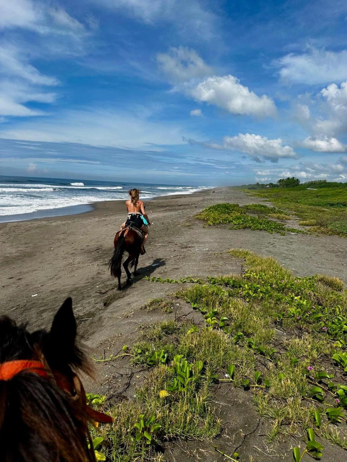 Surfing Turtle Lodge Poneloya Exterior foto